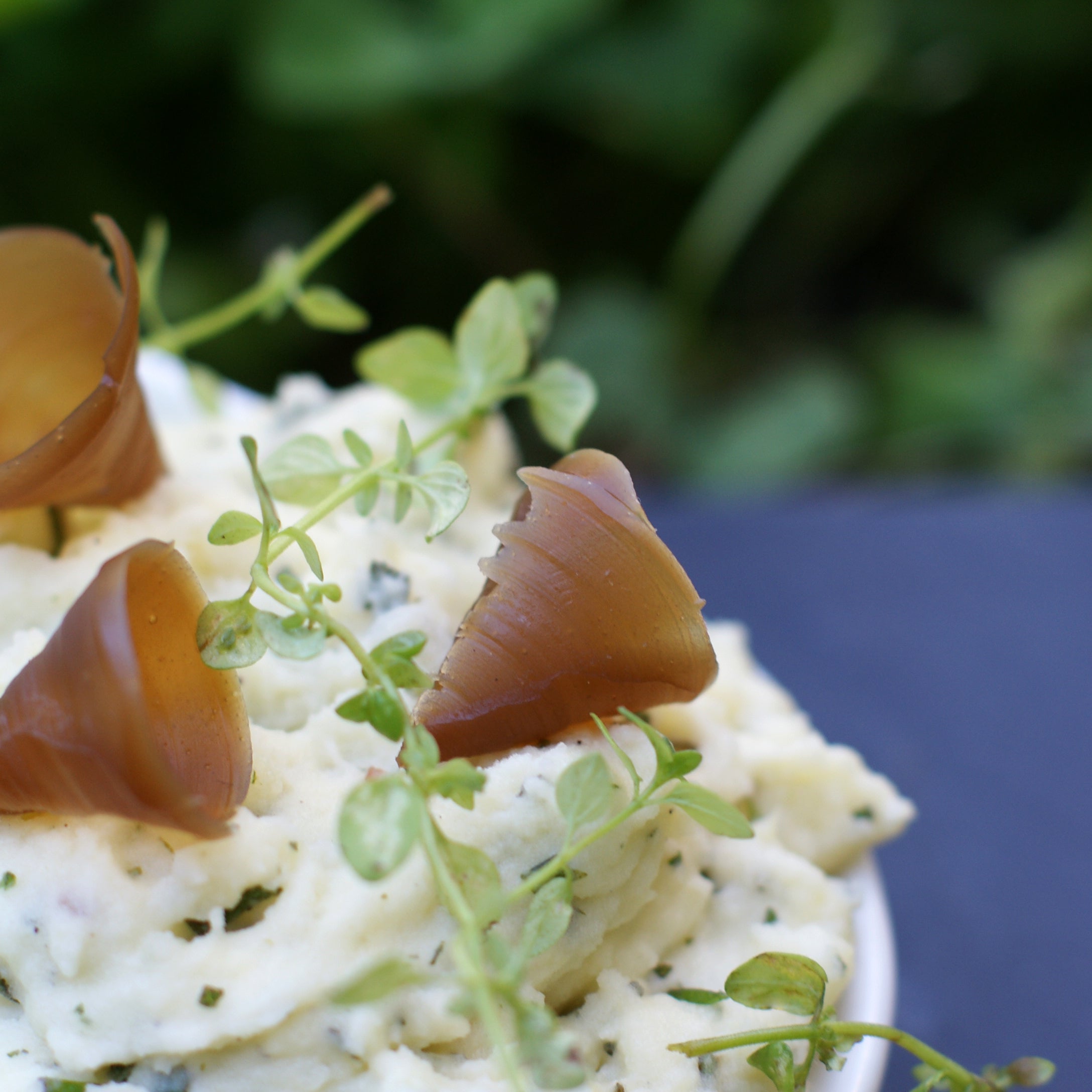Recette de Purée d'herbes & Cèpe