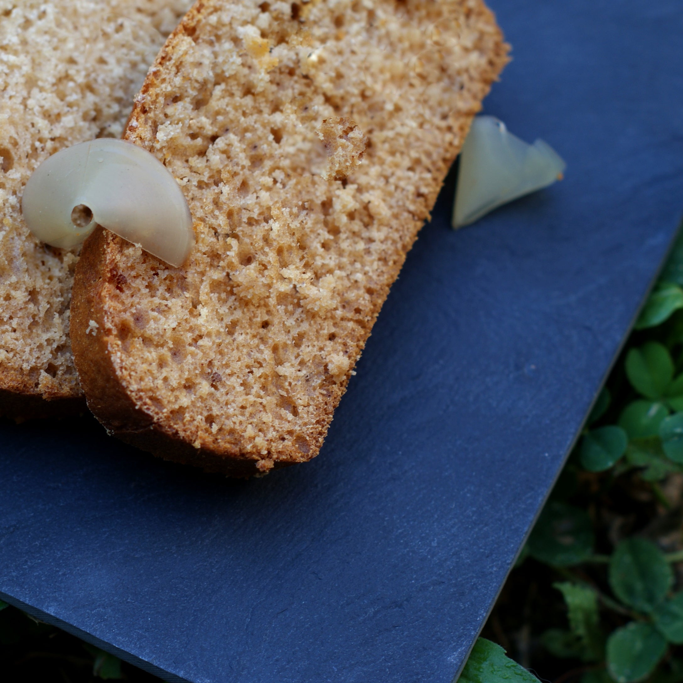 Pain d'épices | Assaisonnement à tailler Citron vert