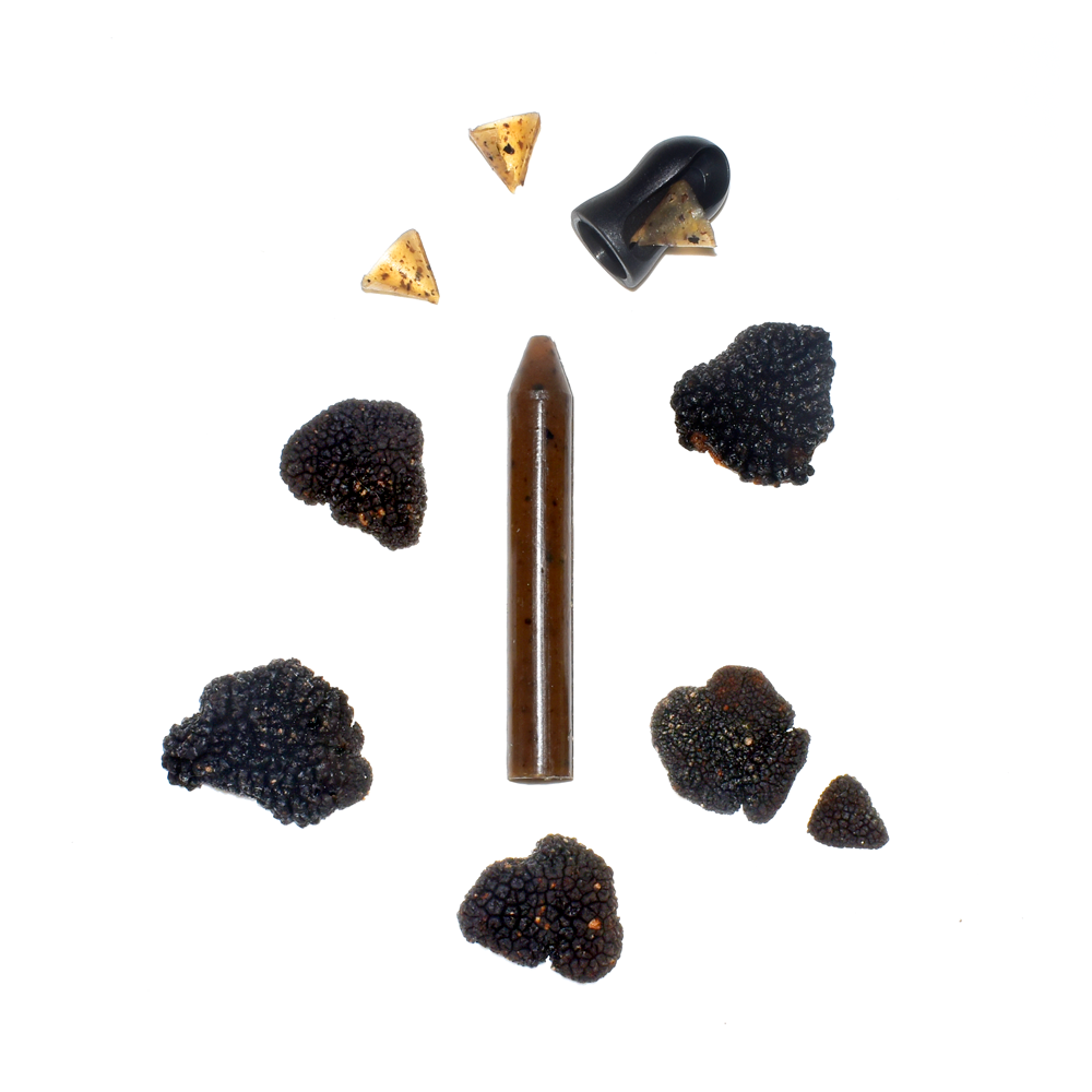 crayon d'assaisonnement à la Truffe noir