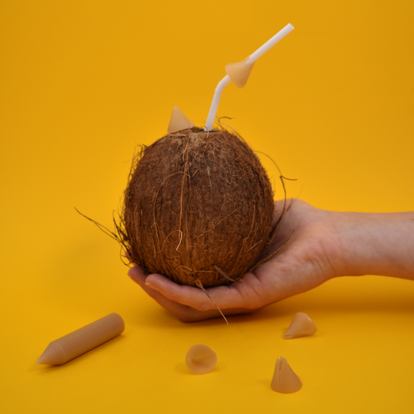 Noix de coco | Assaisonnement à tailler Citron confit