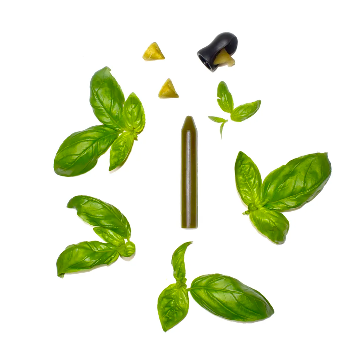 COFFRET 1 CRAYON | Basilic (BIO)