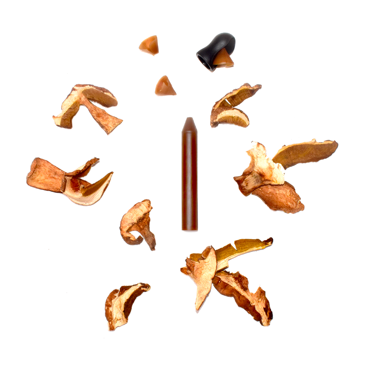 COFFRET 1 CRAYON | Cèpe