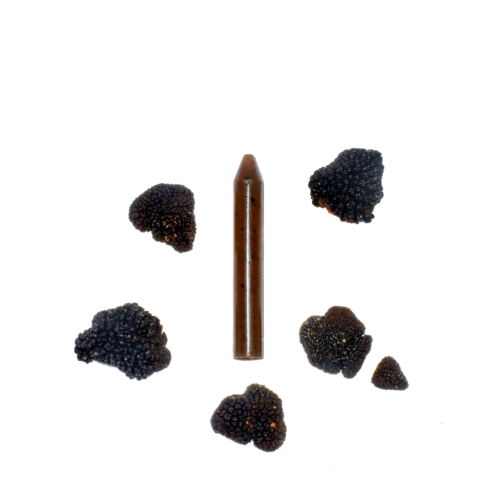 Le crayon comestible truffe noir