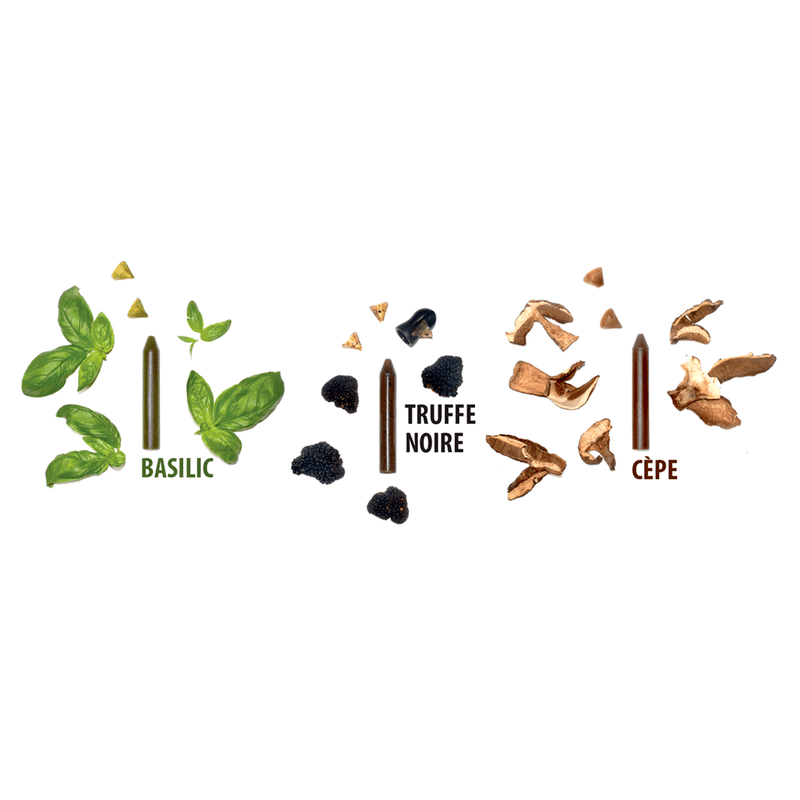 FESTIVE FEAST BOX | 3 pencils: Basil  (Organic) + Black truffle + Cep